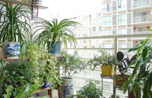 陽(yáng)臺(tái)風(fēng)水三要素：這三種物品不能隨意放/